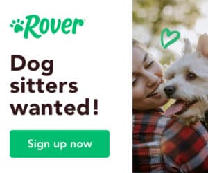 earn money dog sitting with rover