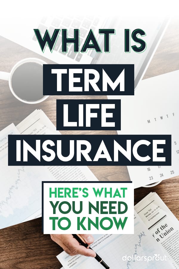 What is Term Life Insurance and Do You Need It? - DollarSprout
