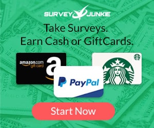 take paid surveys to earn extra money