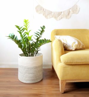 Indoor Planter Gift Ideas